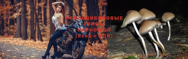 наркотики Кулебаки