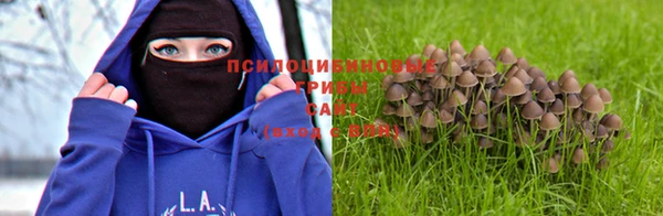 трава Куйбышев