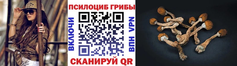 Псилоцибиновые грибы MAGIC MUSHROOMS  Купить закладки  Знаменск 
